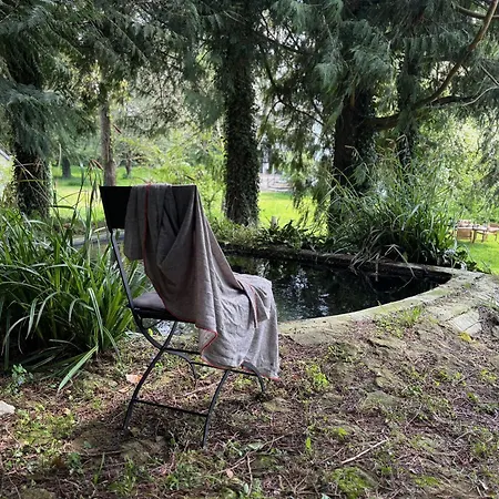 Le Moulin Foulon - Riviere - 1 Ha Prive - Cheminee Βίλα