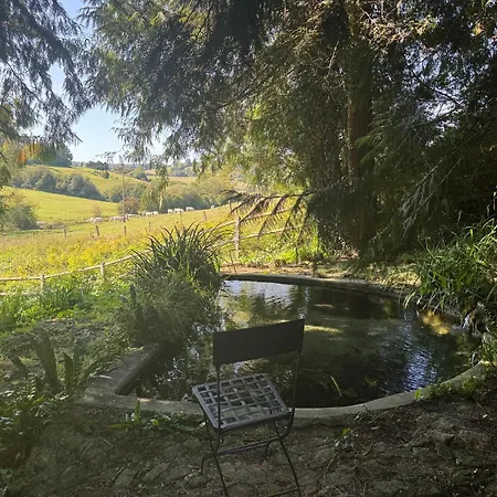Le Moulin Foulon - Riviere - 1 Ha Prive - Cheminee