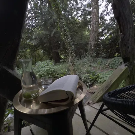 Βίλα Le Moulin Foulon - Riviere - 1 Ha Prive - Cheminee Aubry-le-Panthou