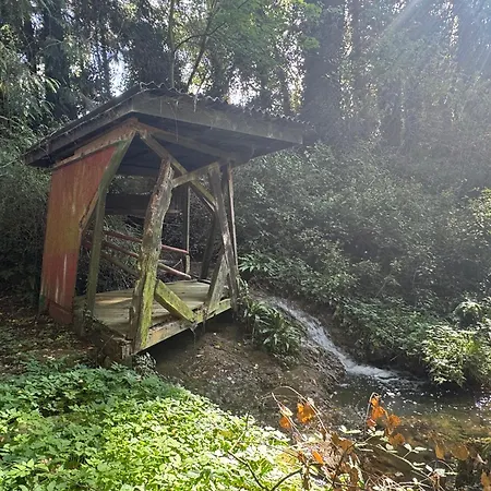 Le Moulin Foulon - Riviere - 1 Ha Prive - Cheminee * Aubry-le-Panthou