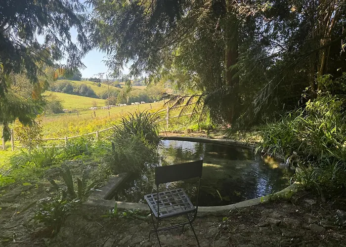 Le Moulin Foulon - Rivière - 1 Ha Privé - Cheminée