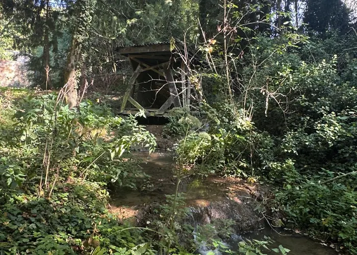 Le Moulin Foulon - Riviere - 1 Ha Prive - Cheminee 빌라 *