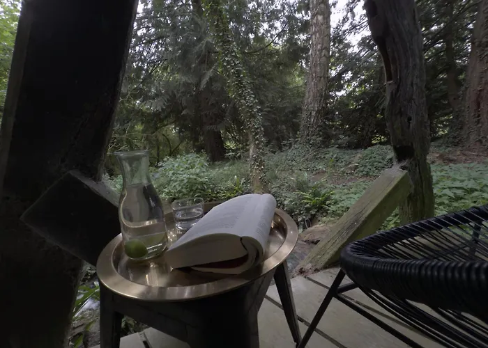 Βίλα Le Moulin Foulon - Riviere - 1 Ha Prive - Cheminee Aubry-le-Panthou