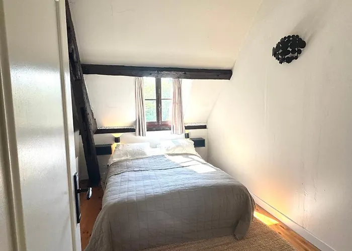 Le Moulin Foulon - Riviere - 1 Ha Prive - Cheminee *