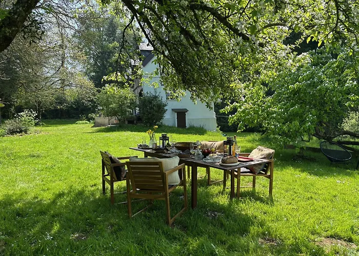 Le Moulin Foulon - Riviere - 1 Ha Prive - Cheminee *