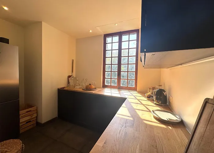 Le Moulin Foulon - Riviere - 1 Ha Prive - Cheminee Villa *