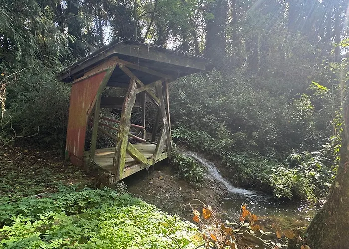 Le Moulin Foulon - Rivière - 1 Ha Privé - Cheminée * Aubry-le-Panthou