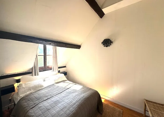 Villa Le Moulin Foulon - Riviere - 1 Ha Prive - Cheminee *